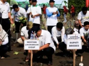 Penanaman Mangrove di Brebes Perkuat Benteng Pesisir