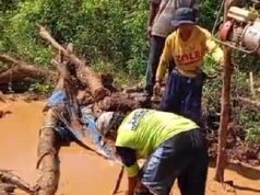 Petani Banyuwangi Kehilangan Lahan Pertanian Akibat Tambang Emas Ilegal