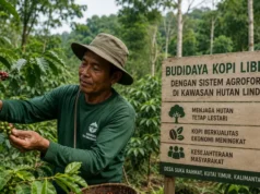 Petani di Kaltim Bangun Ekonomi Hijau Lewat Kopi Liberika di Hutan Lindung