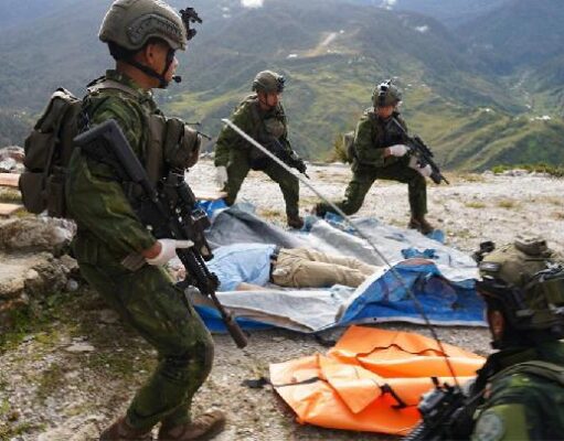 Pilot AS Tewas Ditembak di Papua, OPM Sebut Ini Alasannya