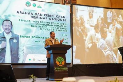 Populasi-Orangutan-Sumatra-dan-Tapanuli-Terungkap-Kemenhut-Perkuat-Konservasi