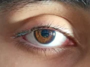 Retina Penderita Meninggal Dapat Dihidupkan Kembali, Terobosan Transplantasi Mata