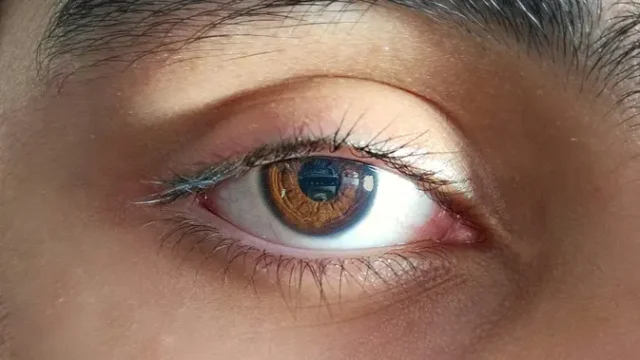 Retina-Penderita-Meninggal-Dapat-Dihidupkan-Kembali-Terobosan-Transplantasi-Mata