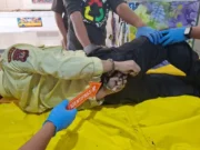 Satpam Waduk Jatiluhur Ditemukan Tewas dengan Tangan Terborgol