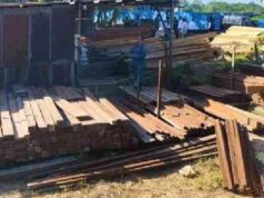 Sita 1.250 Batang Kayu, Kemenhut Ungkap Modus Pemalsuan Dokumen