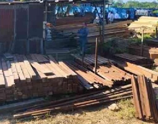 Sita 1.250 Batang Kayu, Kemenhut Ungkap Modus Pemalsuan Dokumen