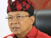 Terduga Pencuri Ayam Tewas Dikeroyok, Gubernur Bali Minta Bendesa Turun Tangan
