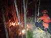 Tiga Daerah di Jawa Dilanda Karhutla, 8 Hektare Lahan Hangus
