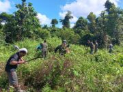 Babinsa Koramil Mapurujaya Bersama Warga Bersihkan TPU Kampung Hiripau