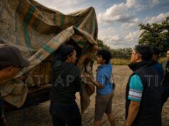 Satlap Tri Cakti Bersama Satgas Gabungan Gagalkan Perdagangan Bijih dan Balok Timah Ilegal di Pelabuhan Pelindo Belitung