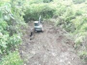 Program Unggulan TNI AD Berjalan, Satgas TMMD Ke-129 Buka Lahan Ketahanan Pangan di Kampung Sesor