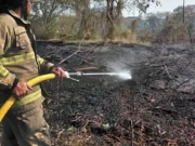30 Hektare Lahan Alang-alang di Rorotan Terbakar, Diduga Sengaja