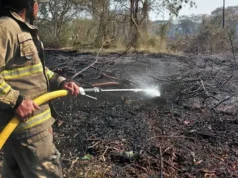 30 Hektare Lahan Alang-alang di Rorotan Terbakar, Diduga Sengaja