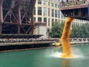90 Ribu Bebek Karet Dilepas di Sungai Chicago untuk Galang Dana