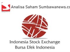 Prospek Saham MEJA, OASA, SMGR, TOBA, BUMI, dan AUTO Senin 24 Agustus 2026: Intip Level OP, SL, dan TP Terbarunya