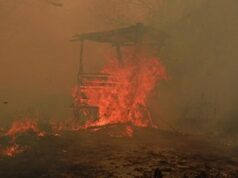 Atlet Indonesia Bersuara atas Kebakaran Hutan Kalimantan