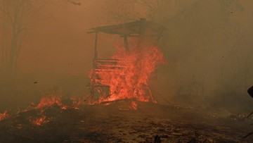 Atlet-Indonesia-Bersuara-atas-Kebakaran-Hutan-Kalimantan