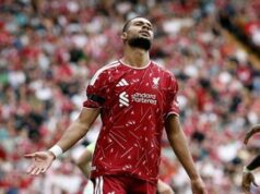 Cody Gakpo Hampir Resmi Gabung Tottenham, Liverpool Tunggu Tawaran Besar