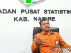 Ekonomi Papua Tengah Anjlok 15,44% Akibat Penurunan Penjualan Freeport
