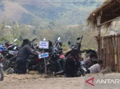 Festival Lembah Baliem Dihentikan Usai Penembakan, Dua Warga Terluka
