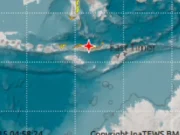 Gempa M 7,7 di NTT Picu Kembali Ancaman Sesar Naik Flores