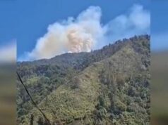 Gunung Latimojong Terbakar, 124 Hektare Hutan Lindung Hangus