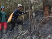 Hutan Ranu Kembang Terbakar, Pendakian Gunung Semeru Ditutup Total