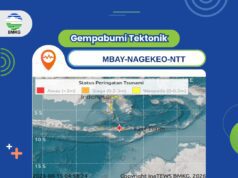 Gempa M7,7 Guncang Mbay Nagekeo, BMKG Deteksi Tsunami di Sejumlah Wilayah