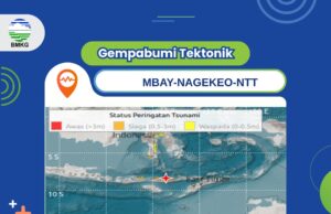 Gempa M7,7 Guncang Mbay Nagekeo, BMKG Deteksi Tsunami di Sejumlah Wilayah