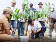 Bupati dan KKSS Tanam Pohon di Lahan Kering Labuhan Kuris