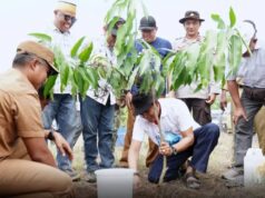 Bupati dan KKSS Tanam Pohon di Lahan Kering Labuhan Kuris