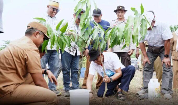 Bupati dan KKSS Tanam Pohon di Lahan Kering Labuhan Kuris