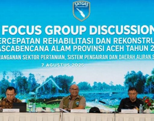 Integrasi DAS, Irigasi, dan Sawah Jadi Kunci Pemulihan Pertanian di Aceh