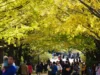 Jepang Cari Ibu Kota Kedua untuk Reduksi Pemusatan di Tokyo