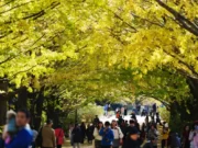 Jepang Cari Ibu Kota Kedua untuk Reduksi Pemusatan di Tokyo