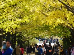 Jepang Cari Ibu Kota Kedua untuk Reduksi Pemusatan di Tokyo