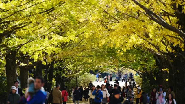 Jepang-Cari-Ibu-Kota-Kedua-untuk-Reduksi-Pemusatan-di-Tokyo