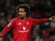 Juventus Buru Zirkzee, Pinjaman dengan Opsi Beli Jadi Solusi