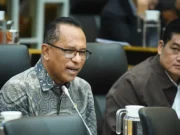 Karhutla Berulang di Sumsel, DPR Desak Kemenhut Perkuat Pencegahan