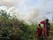 Karhutla Picu 13.449 Kasus ISPA, Kemenkes Kirim 848 Tenaga Kesehatan