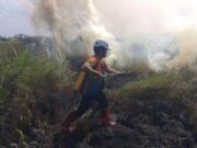 Karhutla dan Kekeringan Picu Bencana di Berbagai Wilayah