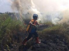 Karhutla dan Kekeringan Picu Bencana di Berbagai Wilayah