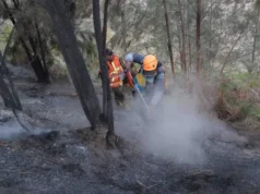 Karhutla di Gunung Bromo Meluas Jadi 550 Hektare