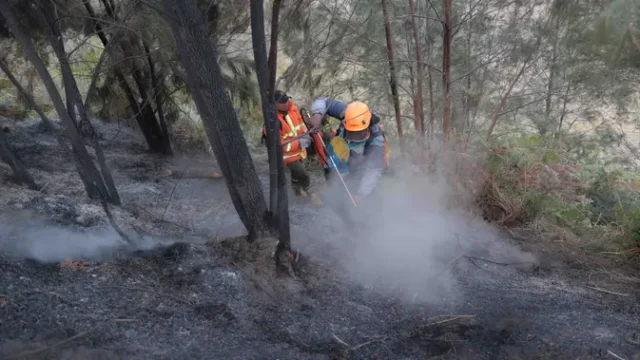 Karhutla-di-Gunung-Bromo-Meluas-Jadi-550-Hektare
