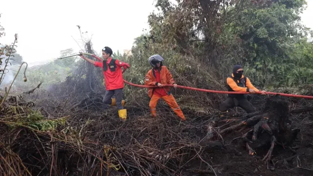 Kasus-Kebakaran-Hutan-Melonjak-89-Orang-Ditetapkan-sebagai-Tersangka