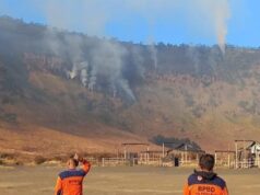 Kawasan Bromo Terbakar, Akses Wisata dari Malang dan Lumajang Ditutup