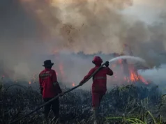 Kebakaran Hutan Berulang Ancam Ekosistem dan Iklim Global