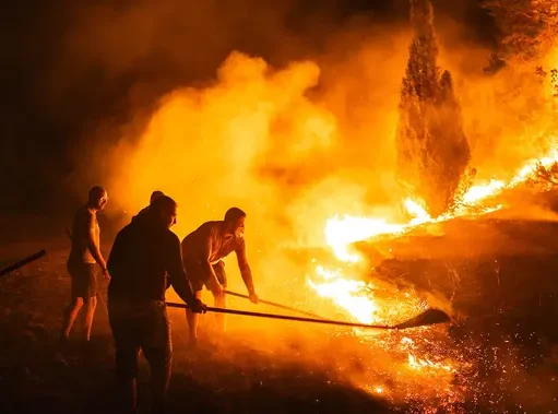 Kebakaran Hutan Melanda Serbia di Tengah Gelombang Panas Eropa