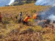 Kebakaran di Bromo Meluas, Api Menjalar ke Savana Sariwani