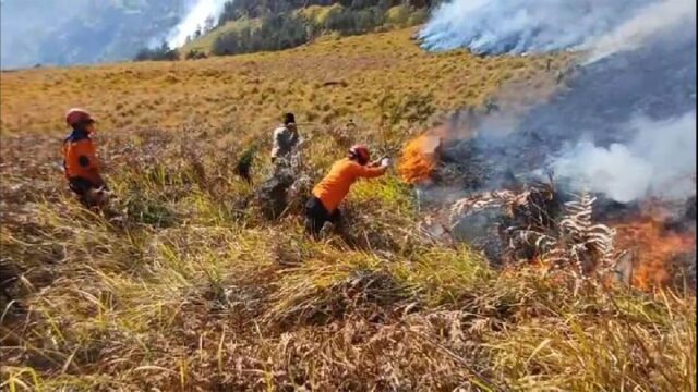 Kebakaran-di-Bromo-Meluas-Api-Menjalar-ke-Savana-Sariwani
